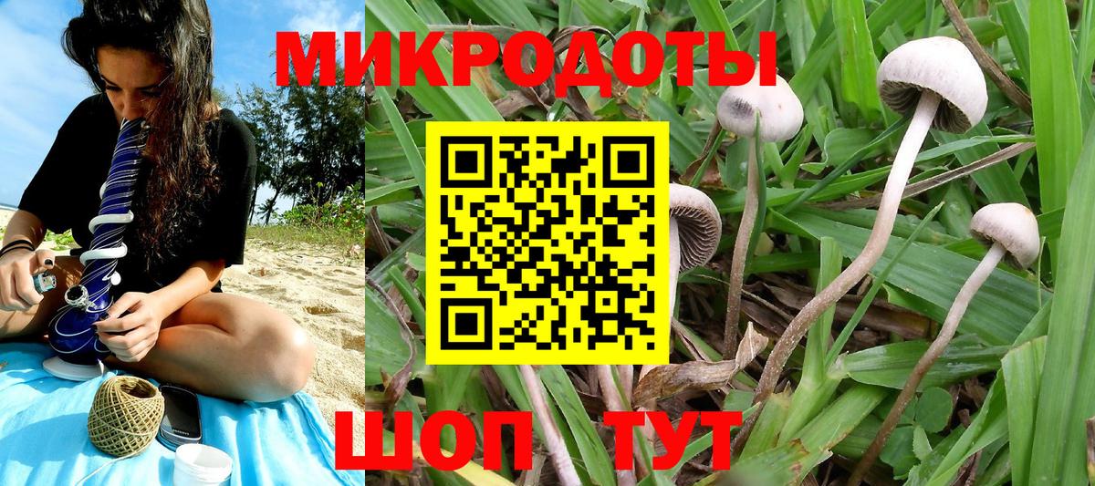 Псилоцибиновые грибы мицелий  Вход с VPN  где можно купить   Подольск 